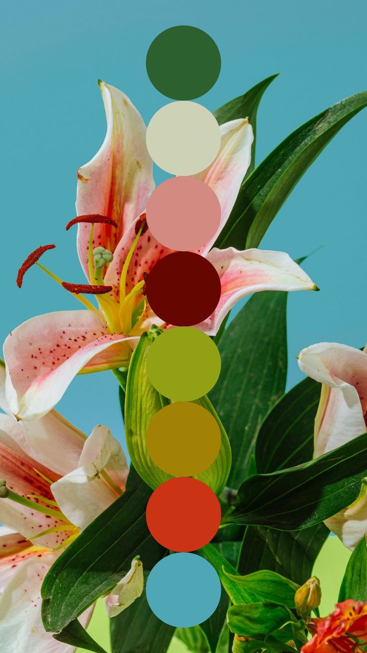 Color Palettes - Octa - 10 Everyday Inspired Color Platte - Image 3