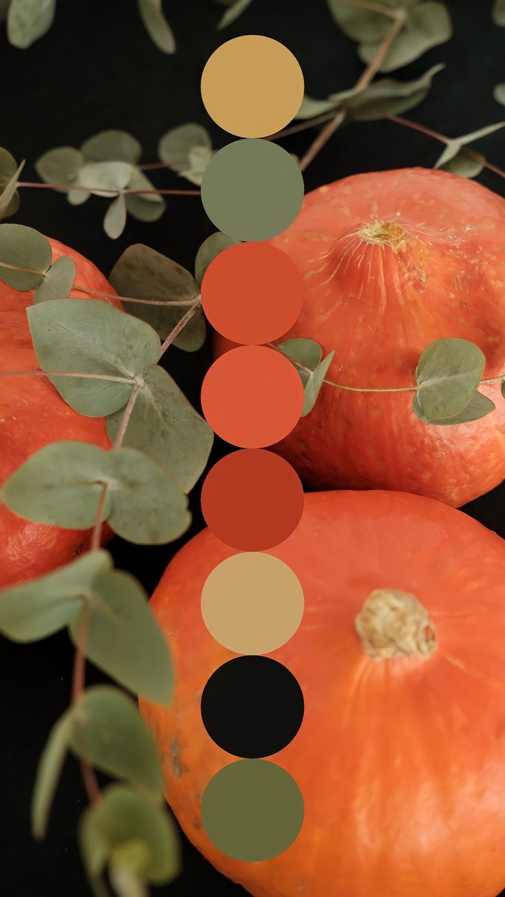 Color Palettes - Octa - 10 Everyday Inspired Color Platte - Image 11